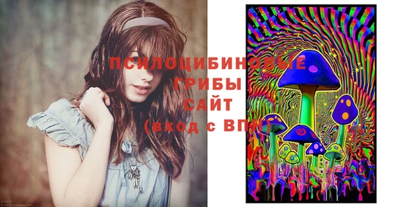 PSILOCYBIN Баксан